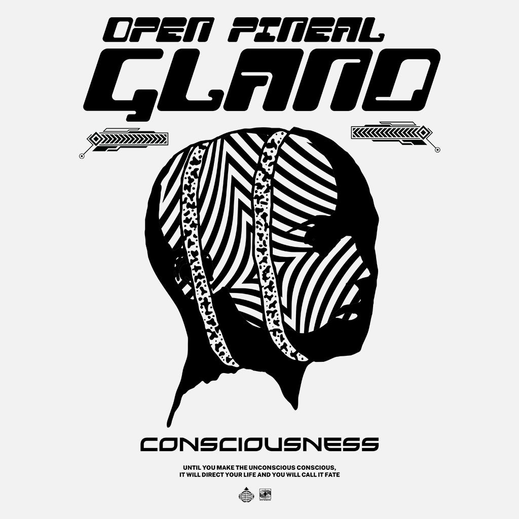 Consciousness Pullover Hoodie