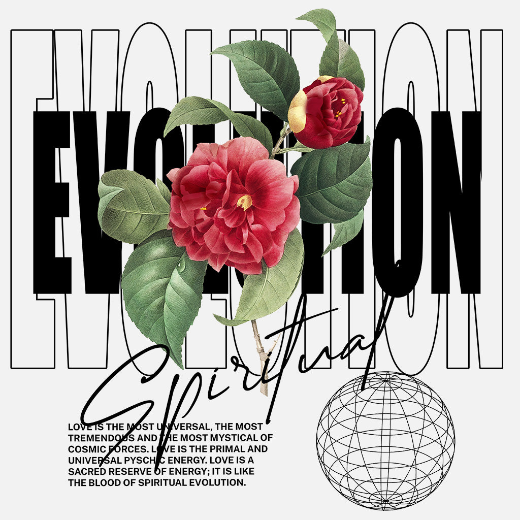 Spiritual Evolution Pullover Hoodie